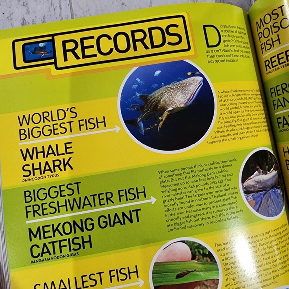 National Geographic Animal Encyclopedia - Picture 10 of 15